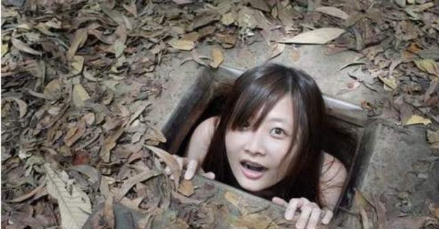 每日大作战博客