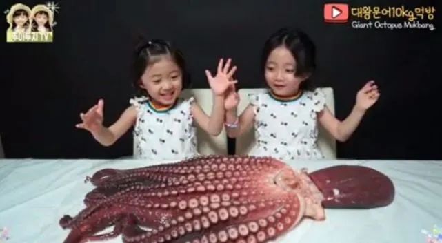 939W乳液78WYW55523 比如一些植物提取物