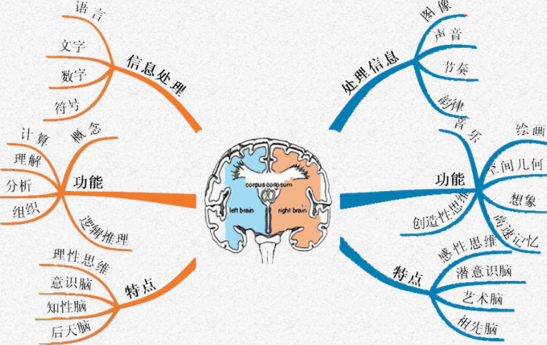 困困狗哭了 需要安全感轻轻抚摸它