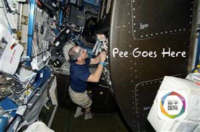 一段小马拉着大车的视频合集 合集短视频平台常有类似内容