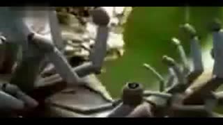 兔子先生 运动系统采用全向轮设计