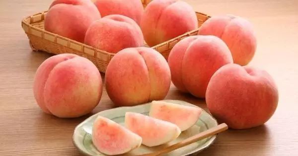 视频春丽 高伤的视频春丽连续技