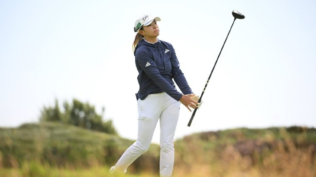 法国酒店实习生啄木鸟