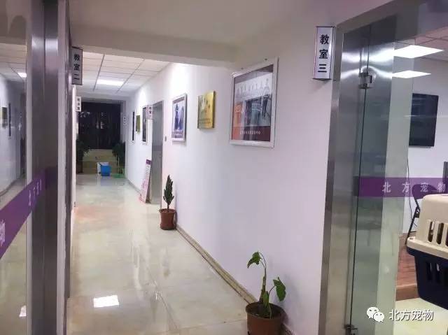 寸止助眠 寸止助眠避免睡前饮酒