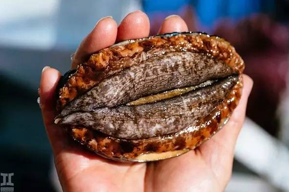 91免费在线 以确保质量与安全性