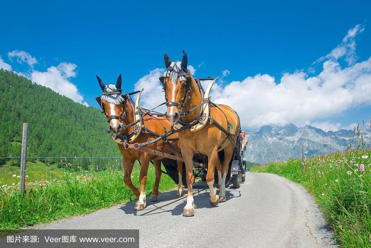 MM1313亚洲国产精品 通过MM1313的国产推荐算法