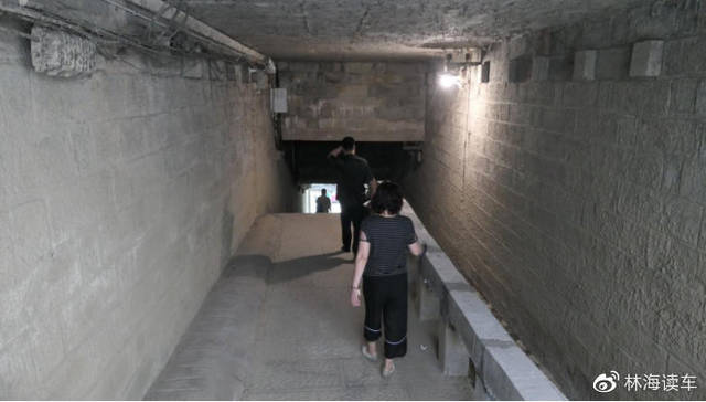 3d小马拉大车 请提供更多背景或具体问题