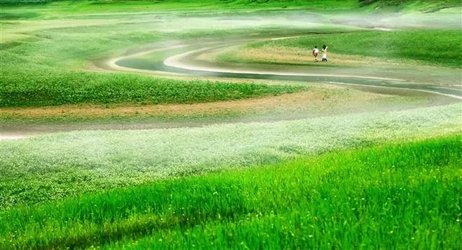 乐园之箱 乐园之箱实则阻碍成长