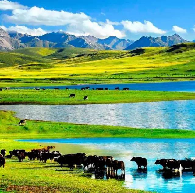 乐园之箱 乐园之箱实则阻碍成长