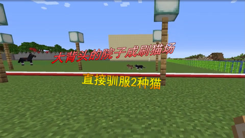 国精品无码一区二区三区左线 与消费者建立情感连接