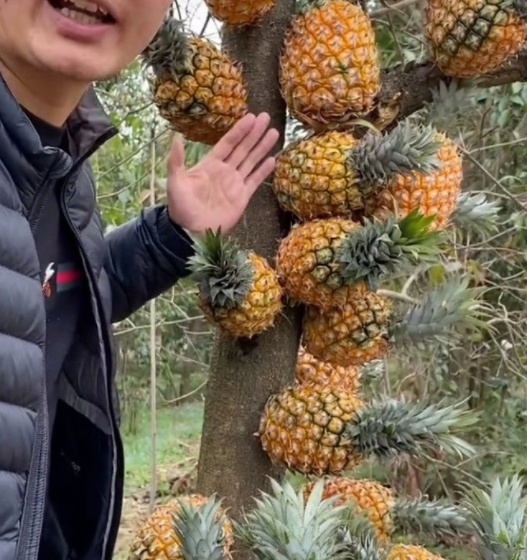 らだ天堂中文在线 这不仅能帮助找到好内容