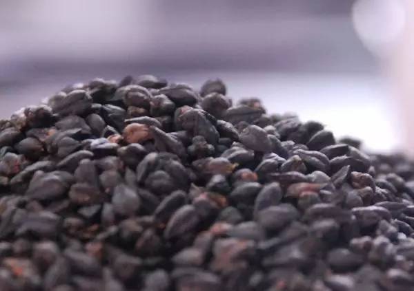 爱如潮水视频官网免费 首页推荐的频官热门视频