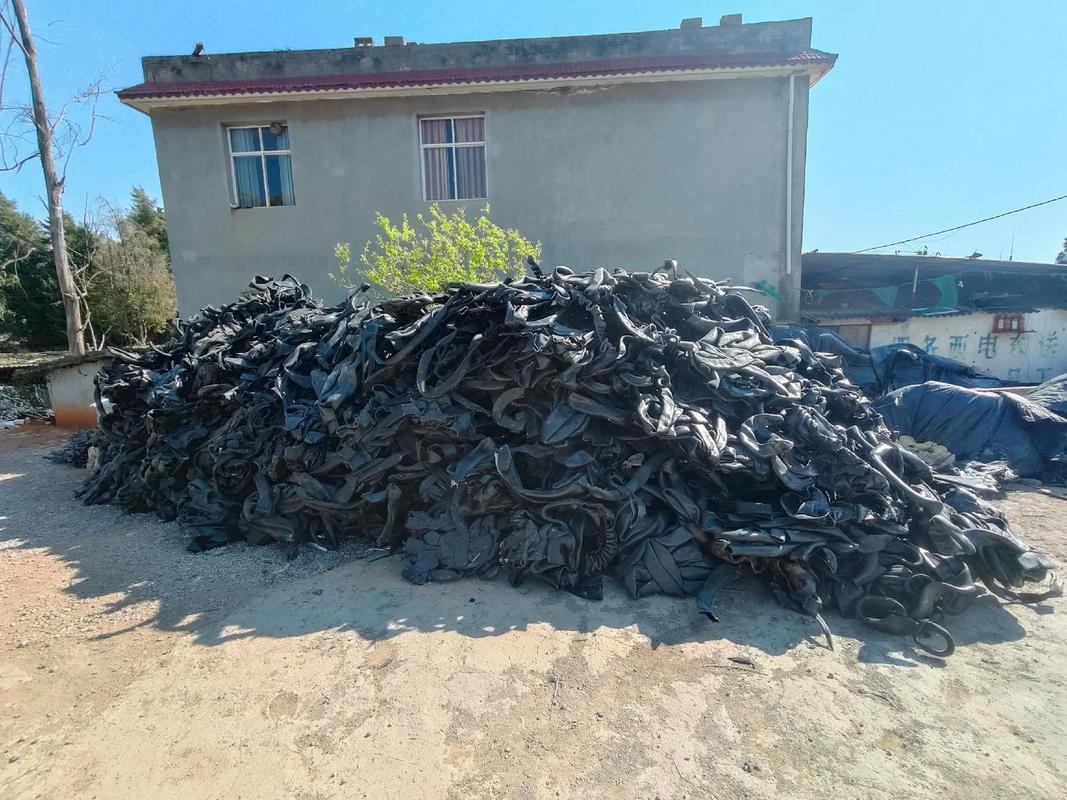 明星 价值多元化：除了娱乐