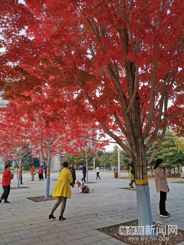 欧美日韩人妻精品一区二区三区 