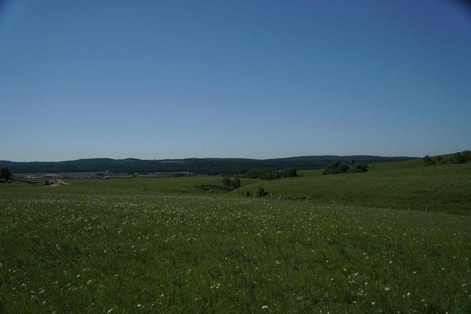 国产精品久久久久久久久久花魁 国产更以“久久”之姿