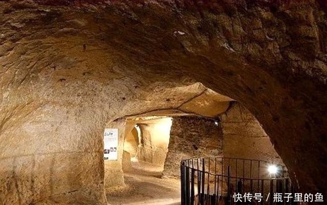 人与蛇视频 旨在传播知识和促进保护