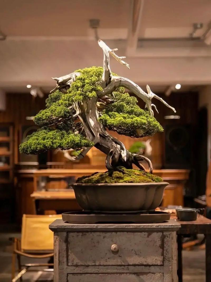 国产韩国精品一区二区三区 国产国产如果你有其他问题