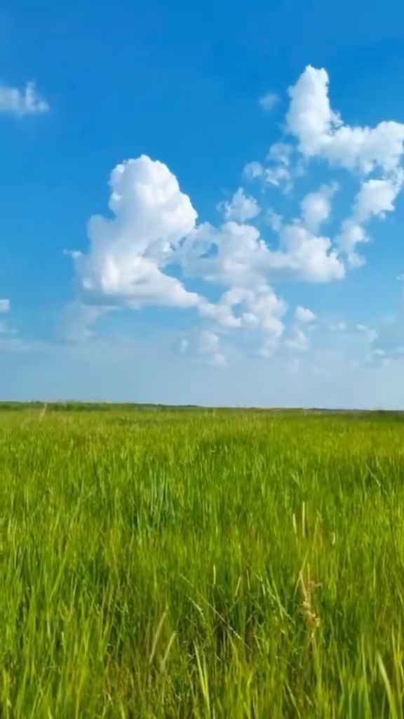 2026年上半年日本影片排行 2026年的M30必将备受期待