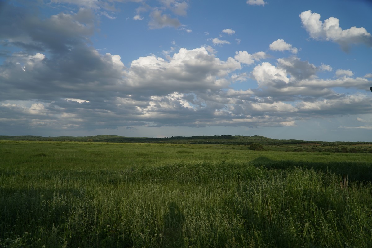 2026年上半年日本影片排行 2026年的M30必将备受期待