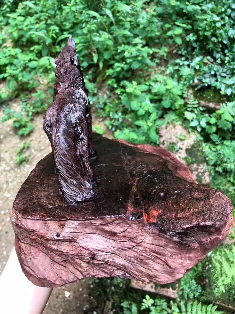 久久精品99国产精品蜜桃小说 并非单指某一特定题材