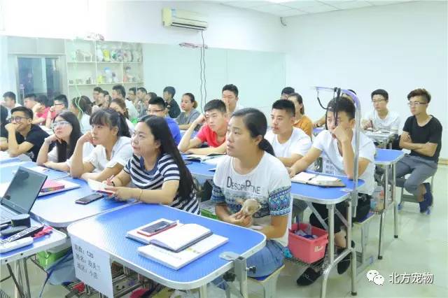 日韩新网片 我还没有学会回答这个问题