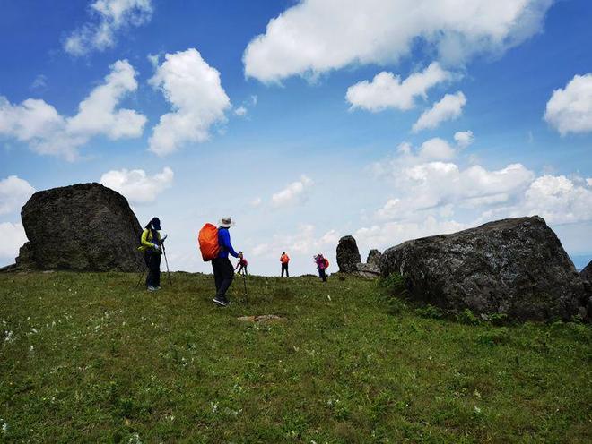 热门动漫在线观看 动漫如果某个平台找不到