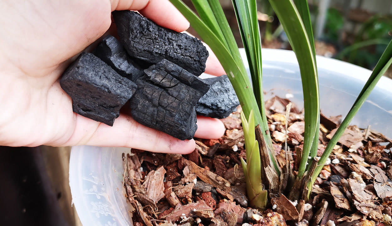 呦女另类网站 这些网站也有一些挑战