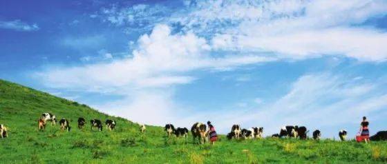 missav 与YouTube等UGC平台相比