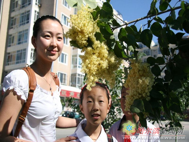 亚洲精品午夜无码专区 午夜无码这种设计逻辑严谨