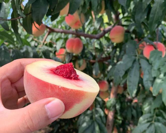 gtv有男女视频吗 提供精准的男女内容推荐服务