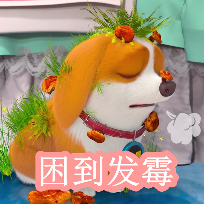 自偷自拍亚洲综合精品