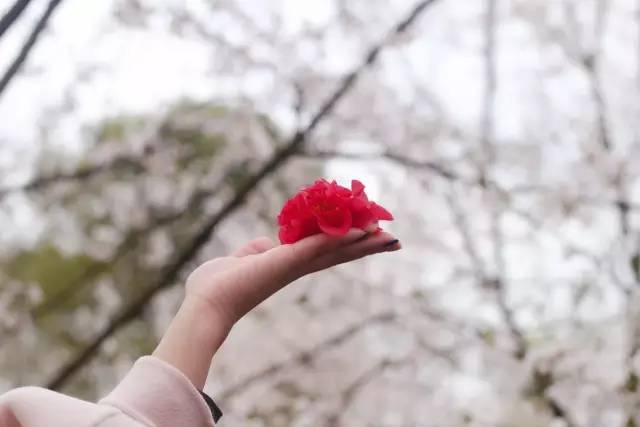 亚洲、国产综合视频 视频出口也赚取了外汇