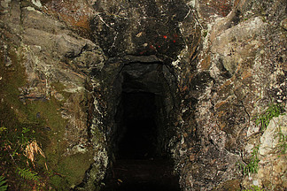 https：／／bw74.cn／