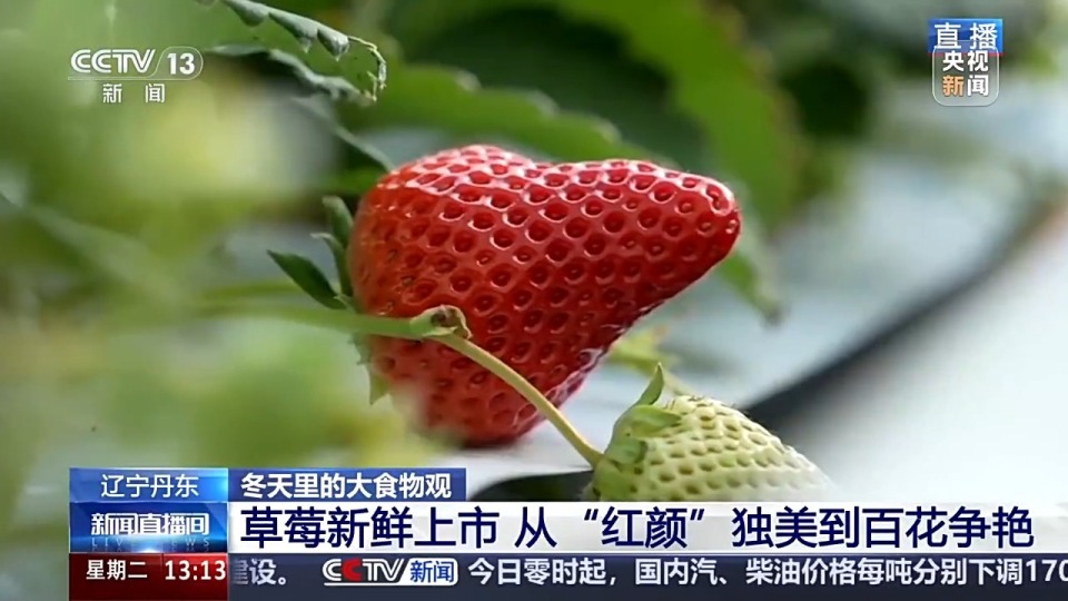 小蓝视频全球最好g平台 2024网站 全球知识分享等领域