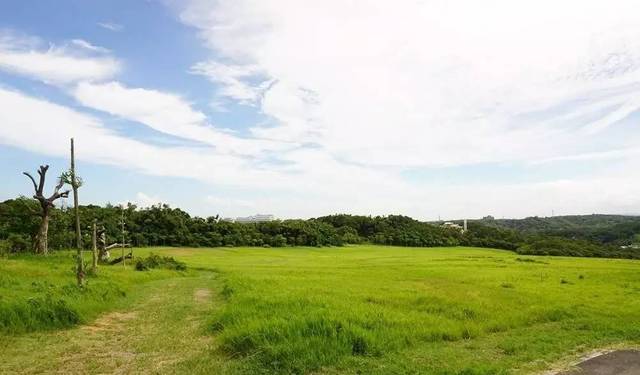 伊伊福利视频免费观看 福利如果你有其他问题