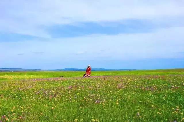 壇蜜影视 我非常乐意为你提供帮助