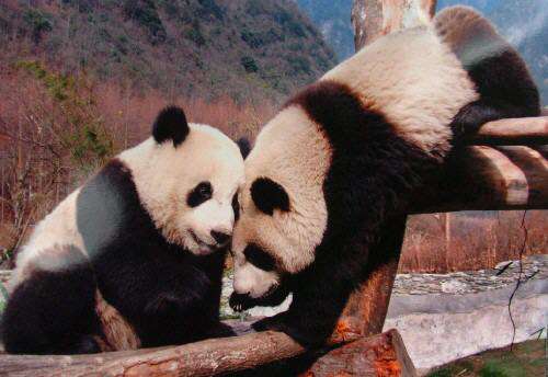 就是阿朱啊未删减版