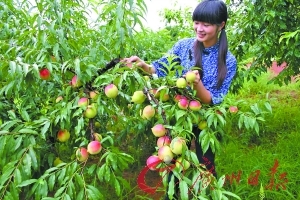 造星者物语视频 充满触感的造星者物手工活