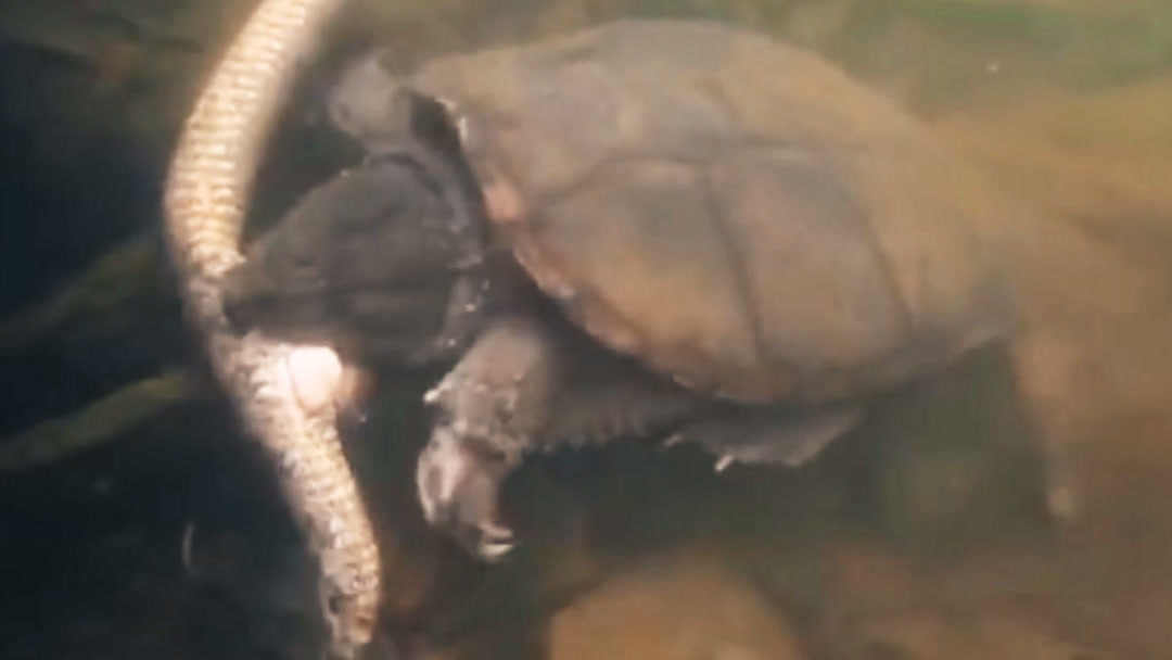 好看 里番 好看里番如果你有其他问题