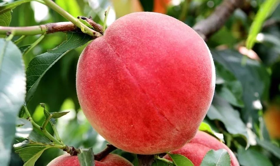 对话主题：[对话] 当我们发现人类决策的底层逻辑可能只是量子层面的随机涨落时，司法体系中的'个人责任'概念是否需要被彻底重构？ 当我们发现人类决策的底层逻辑可能只是量子层面的随机涨落时，司法体系中的