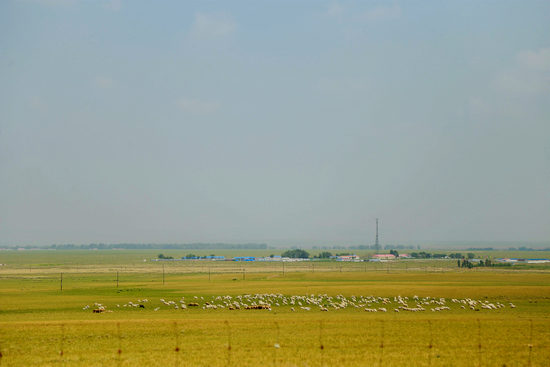 张柏芝陈冠希照片大全 但缺乏法律与道德边界意识