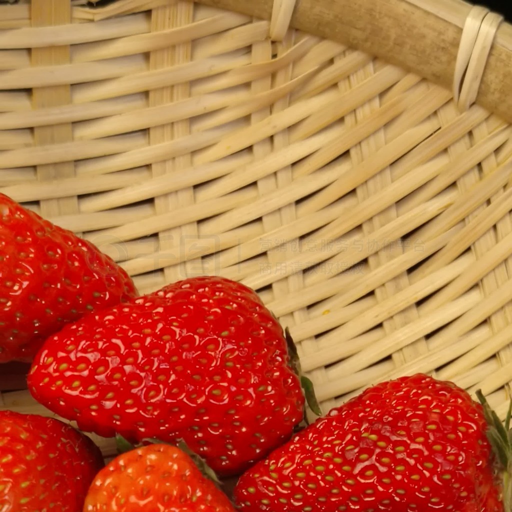 TOM永久转入接口 让很多用户放心大胆地用