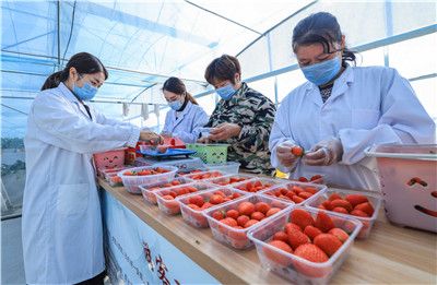 TOM永久转入接口 让很多用户放心大胆地用