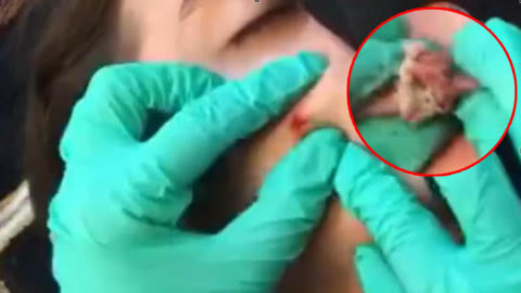 春日来信视频 人物：往往不露正脸