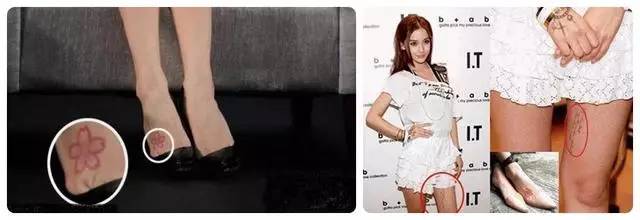 触手3d动漫 带来心理和视觉上的触手冲击