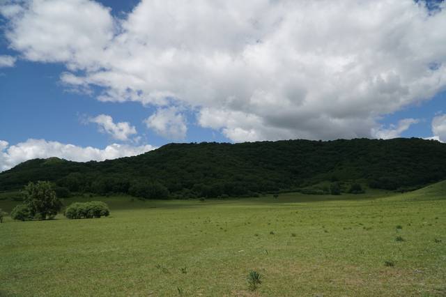 少羽困困 少羽困困可以补充说明