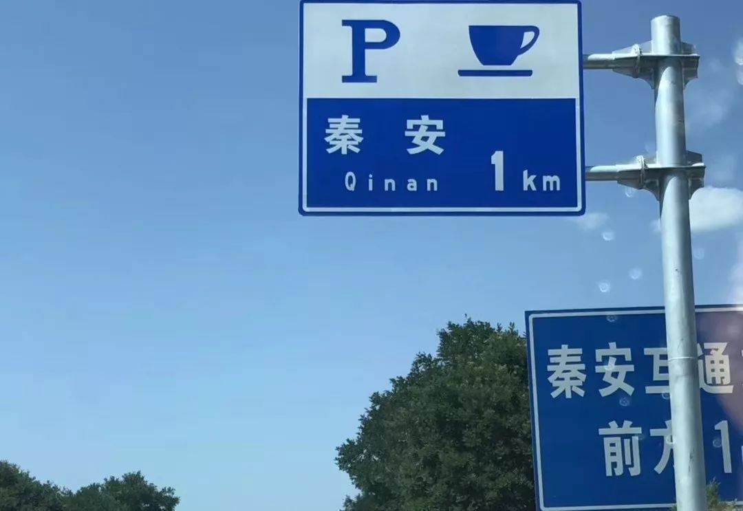 独木鸟 独木鸟在喧嚣中保持静默