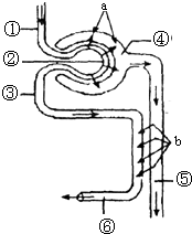 米娜学姐 兔女郎 材质选用上乘PVC与ABS