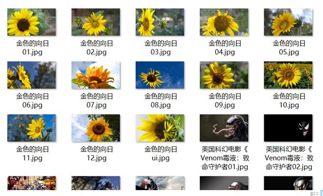 小马拉大车高三