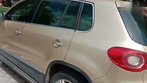 火 影 忍 者 漂 泊 琳 同 人 本 子 攻 +略